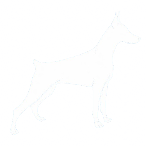 DBW
